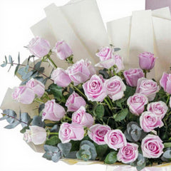 Majestic Pink  Roses