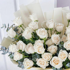 Majestic White  Roses